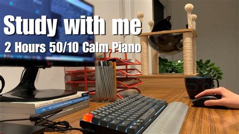 2 Hours Study With Me Cats Calm Piano Lofi Pomodoro 50 10