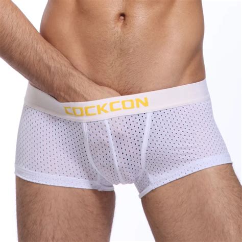 Men S Underwear Pants Mesh Hollow Transparent Underwear Sexy Temptation