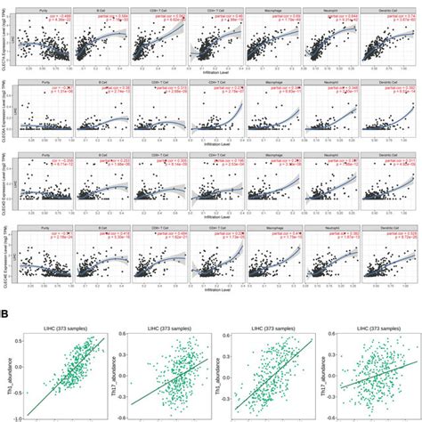 Associations Of Clr Expression With The Levels Of Infiltrating Immune