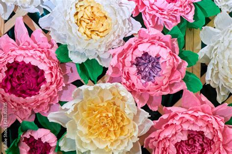 Corrugated paper flowers Images - Search Images on Everypixel