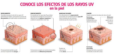 C Ncer De Piel Y Fotoprotecci N