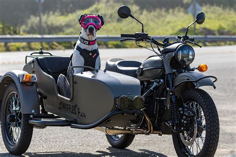 Motorcycle With Sidecar Dog