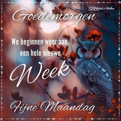 Pin By Baeckelandt Benny On Fijne Nieuwe Week Good Morning Images