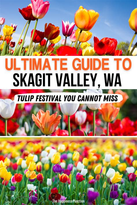 Guide To The Skagit Valley Tulip Festival Things To Do Nearby The