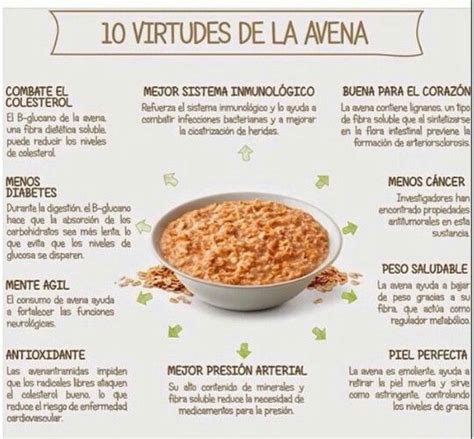 Virtudes De La Avena Beneficios De La Avena Nutrici N Alimentos