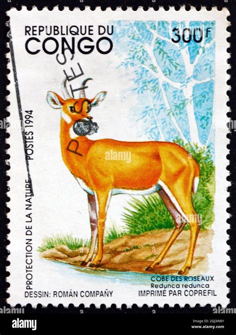 Congo Circa A Stamp Printed In Congo Shows Bohor Reedbuck