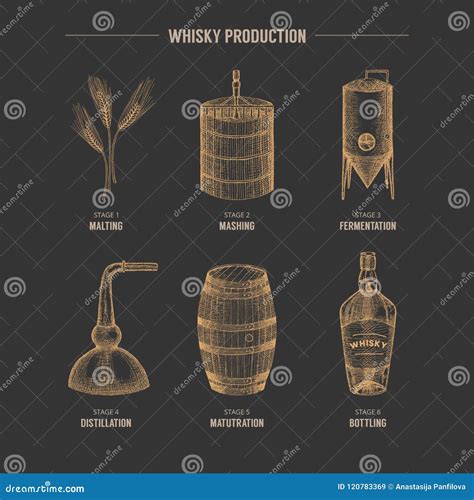 Whisky production. stock vector. Illustration of collection - 120783369