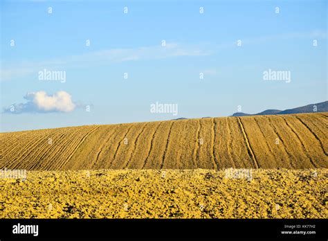 yellow hill color stock photo alamy