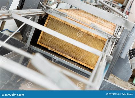 Honeycomb Frames in Extraction Plant Stock Image - Image of automated ...