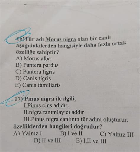 9 SINIF DOĞRU YAPANI EN İYİ SEÇERİM LÜTFEN YAPIN Eodev