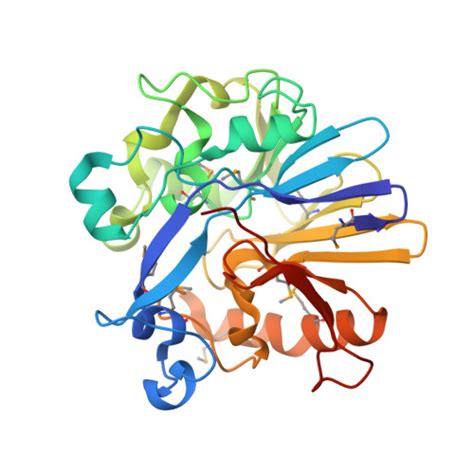 RCSB PDB 3ESH Crystal Structure Of A Probable Metal Dependent