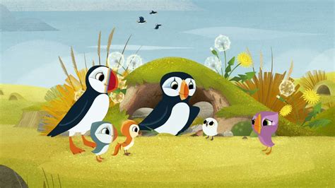 Puffin Rock And The New Friends Movies On Google Play