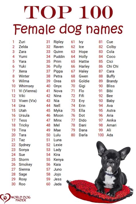 One Syllable Dog Names