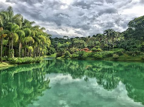 Inhotim como ir ao maior museu a céu aberto da América Latina