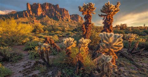 20 Superstition Mountains Hiking Trails You Can't Miss