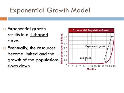 Ppt Chapter 4 Powerpoint Presentation Free Download Id2791954