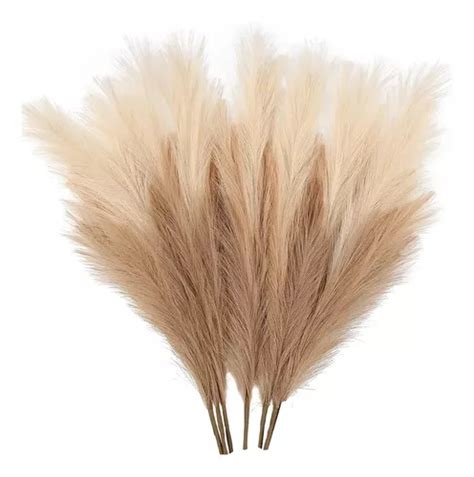 Pampas Secas Artificial Flores Plantas Decoraci N Boda Env O Gratis