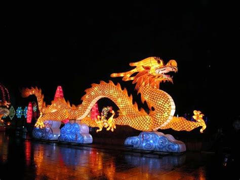 Chinese dragon lantern | Dragon lanterns for sale