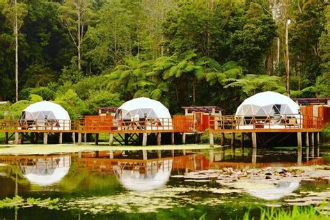 Keren Abis Glamping Di Ciwidey Bandung Mewah Dan Unik Pas Buat