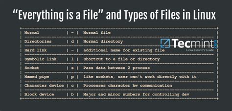 Explanation Of Everything Is A File And Types Of Files In Linux