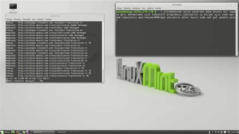 Linux Mint Timeshift YouTube