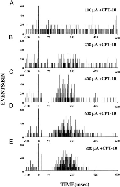 Effects Of Intrastriatal CPT 10 Infusion On The Probability Of