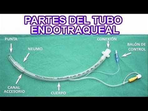 CUALES SON LAS PARTES DEL TUBO ENDOTRAQUEAL TET YouTube