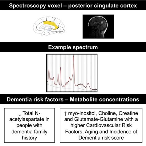 Investigating The Brains Neurochemical Profile At Midlife In Relation