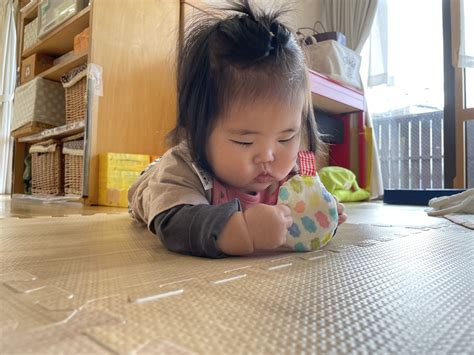 つぼみ 】 あっちも、こっちも気になるものいーっぱい！ 今日の子どもたち みんなのき 三室戸こども園