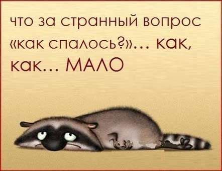 Мой кот : Позитивчик | Humor, Good thoughts, Funny
