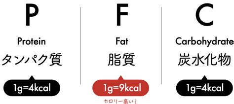 ダイエットの基礎知識「pfcバランスとは？」を、わかりやすく図解してみた。 40歳からダイエットしてるデザイナーの日記