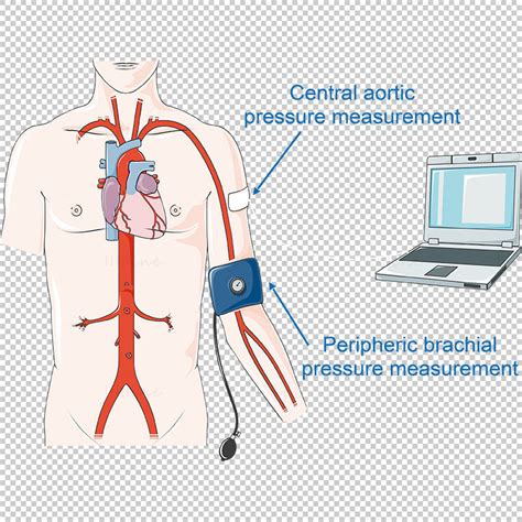 Blood Pressure Measurement Vector Illustration