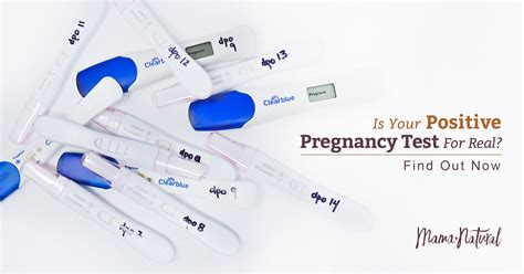 21 Days After Ovulation Negative Pregnancy Test