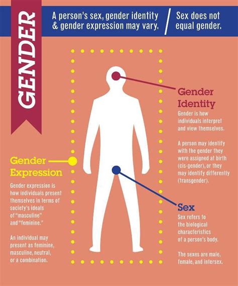 A Comparison Of The Differences Between Sex And Gender Pdfsdocnts X