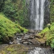 Arusha Materuni Waterfalls Tour Coffee Plantation GetYourGuide