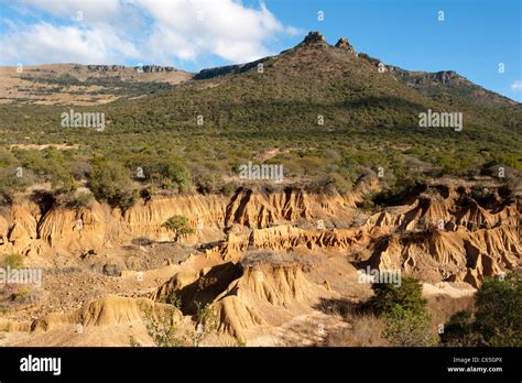 Soil Erosion Immagini E Fotografie Stock Ad Alta Risoluzione Alamy