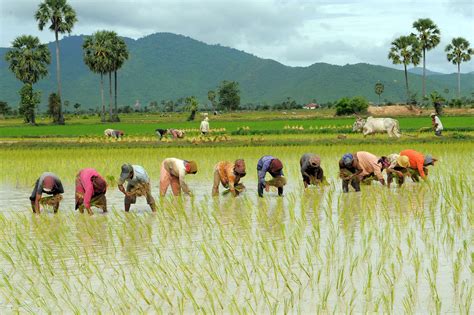 Introduction To Kampong Speu Passion Indochina Travel