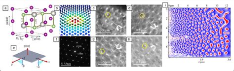 Néel Skyrmions In Ptmnga A Perspective View Of The Structure Of