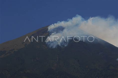 KEBAKARAN HUTAN GUNUNG SINDORO MELUAS ANTARA Foto