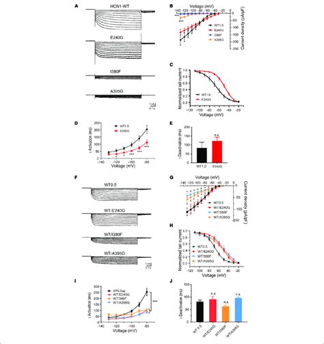 Electrophysiological Properties Of Novel And De Novo Variants In Hcn1