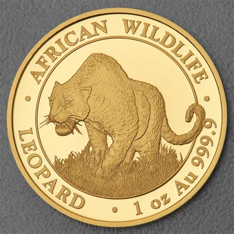 Goldmünze 1oz Somalia Leopard 2023 African Wildlife Serie kaufen