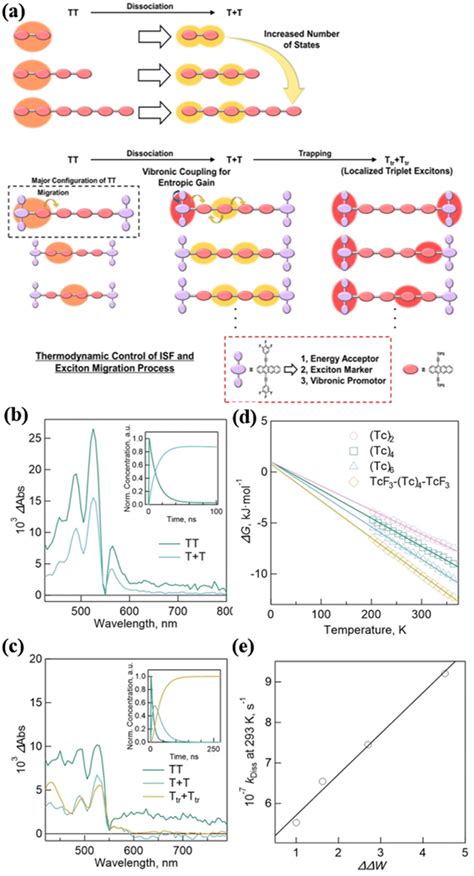 Intramolecular Singlet Fission And Triplet Exciton Harvesting In