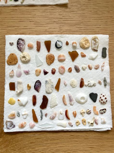 Yesterdays finds : beachcombing