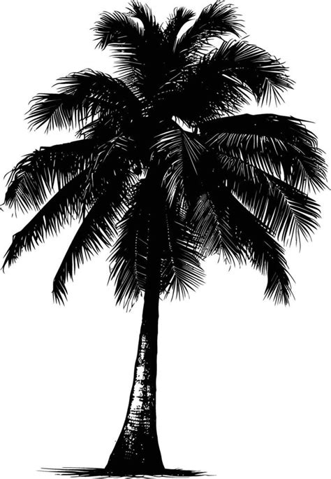 Ai Generated Silhouette Coconut Tree Black Color Only 38020700 Vector