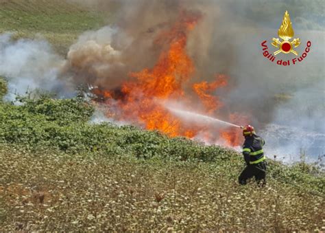 Bruciano Mila Metri Quadrati Di Vegetazione Vigili Del Fuoco A