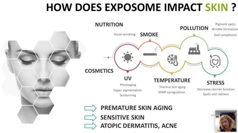 How Sun Exposure And Pollution Impact Skin Aging Process • Best Of Organic Skin Care Products In 2024