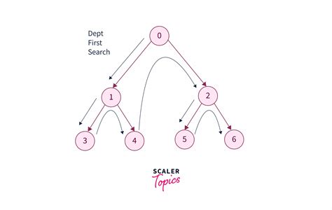 Traversal Of Binary Tree Scaler Topics 53048 Hot Sex Picture