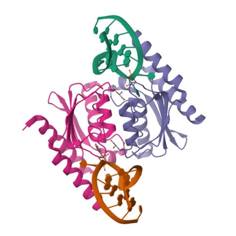 RCSB PDB 2B3J Crystal Structure Of Staphylococcus Aureus TRNA