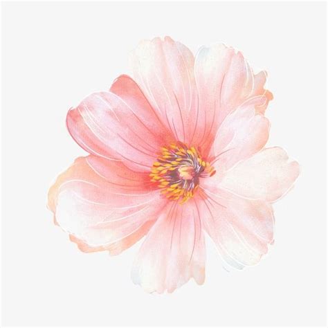 Watercolors Flower PNG Image, Watercolor Flowers, Design, Fresh PNG ...