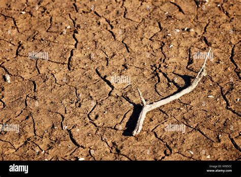 Cracks In Drought Affected Earth Stock Photo Alamy